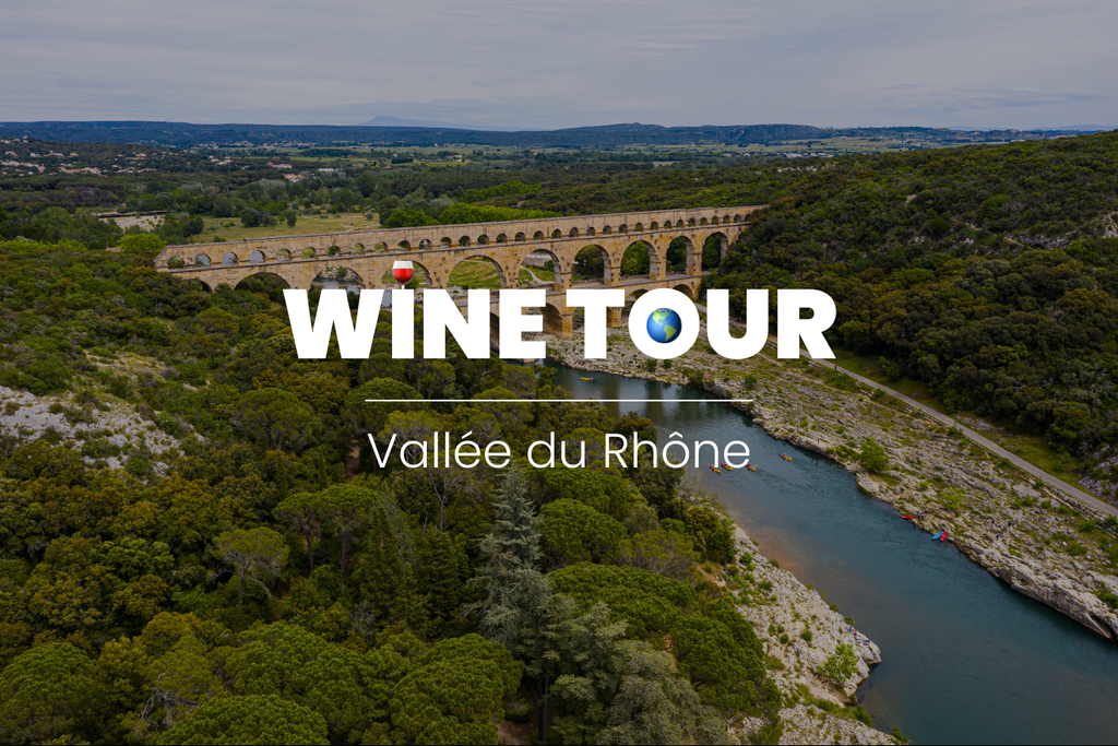 Vins de la Vallée du Rhône : entre Nord et Sud, découvrez leurs secrets
