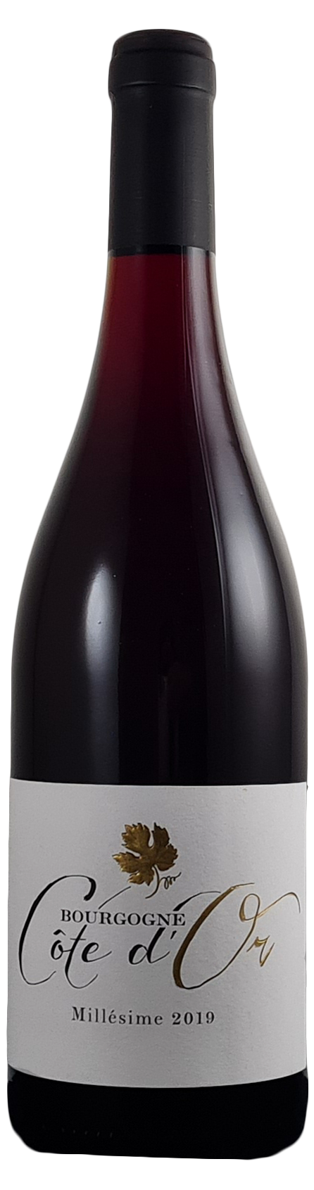 BOURGOGNE CÔTE D'OR PINOT NOIR AOP 2019 COSTELOR