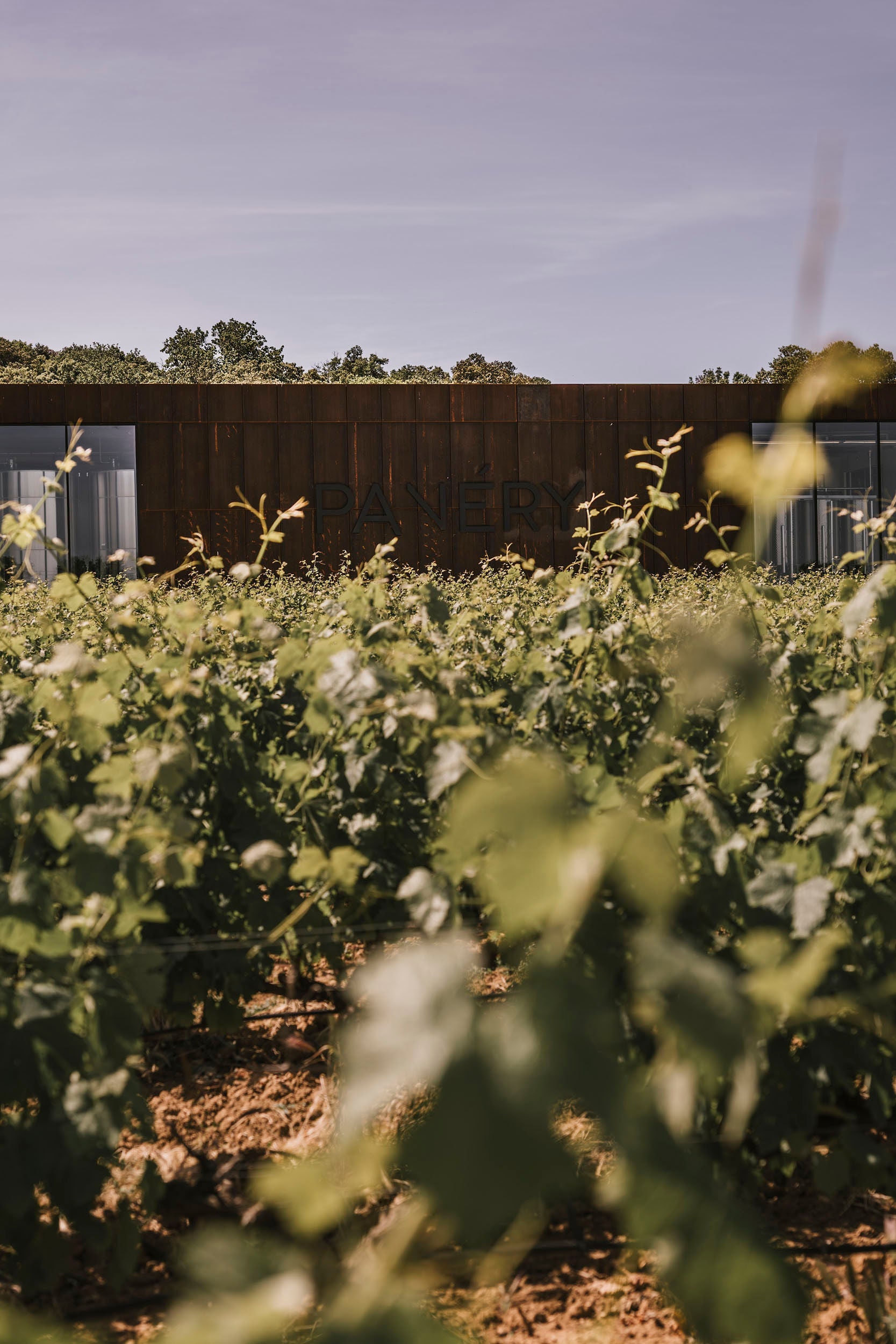 SEJOUR ŒNOTOURISTIQUE 2 PERS DOMAINE DE PANERY